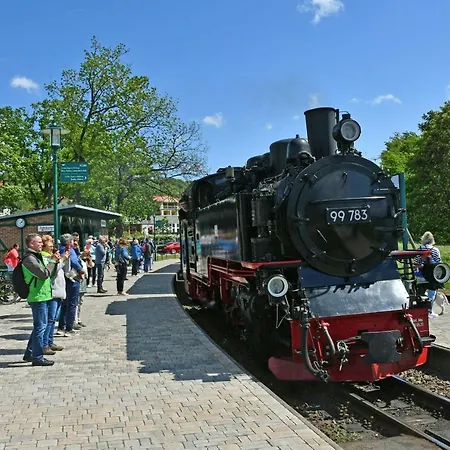 דירה 2-raumapp Kormoran Souterrain, Mit Wiesenterrasse Ohne Seeblick Sellin (Rugen)