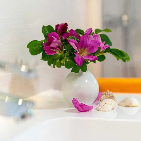 2-raumapp Kormoran Souterrain, Mit Wiesenterrasse Ohne Seeblick * Sellin (Rugen)