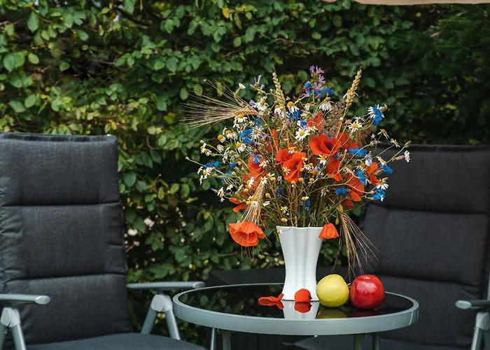 2-raumapp Kormoran Souterrain, Mit Wiesenterrasse Ohne Seeblick